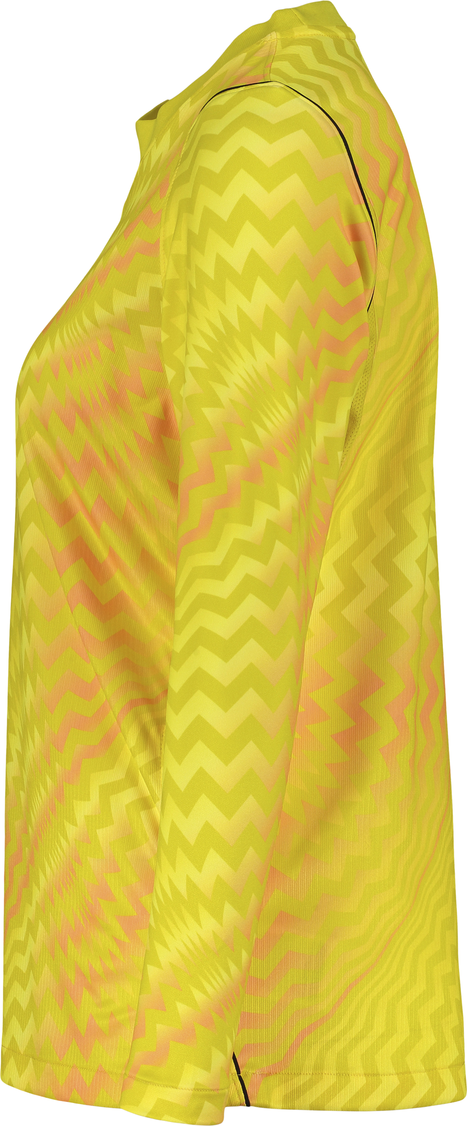 NIKE, GARDIEN VI GK LS JSY W