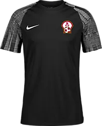 366334101101 NIKE Academy Ss Jsy Jr 366334101101 NIKE Academy Ss Jsy Jr Standard Small1x1