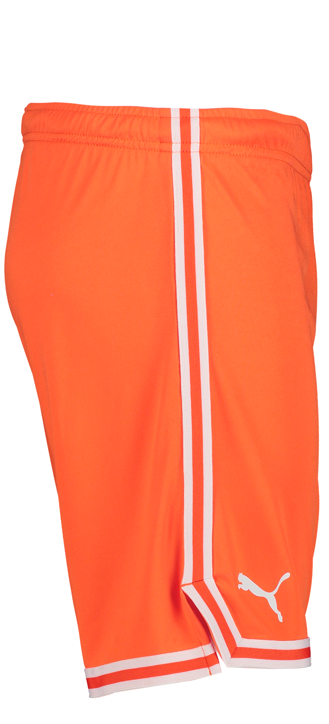 PUMA, Hoops Team Game Short