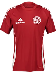 390923105101 ADIDAS Tiro24 Jsy 390923105101 ADIDAS Tiro24 Jsy Standard Small1x1