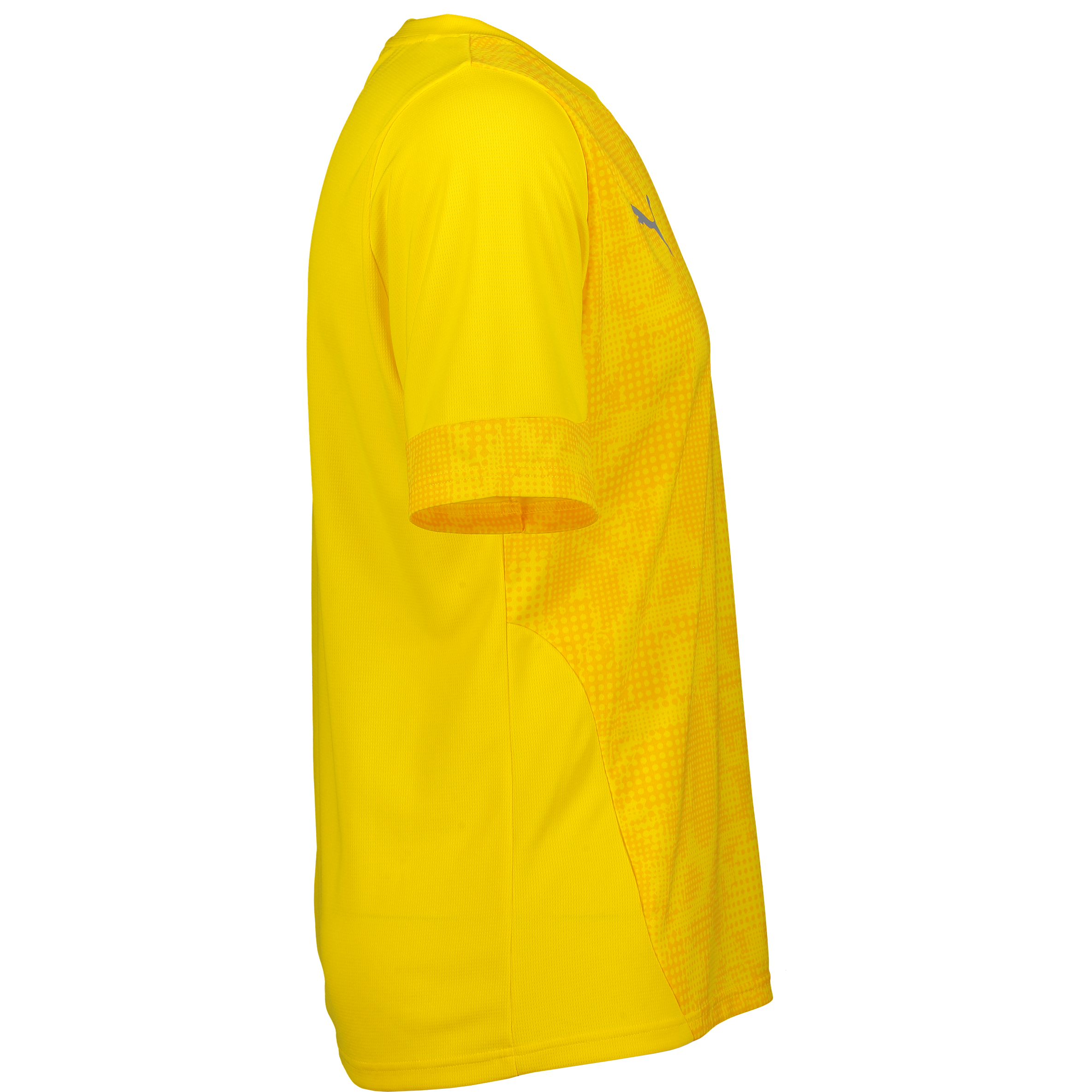 PUMA, Teamcup Training Jersey