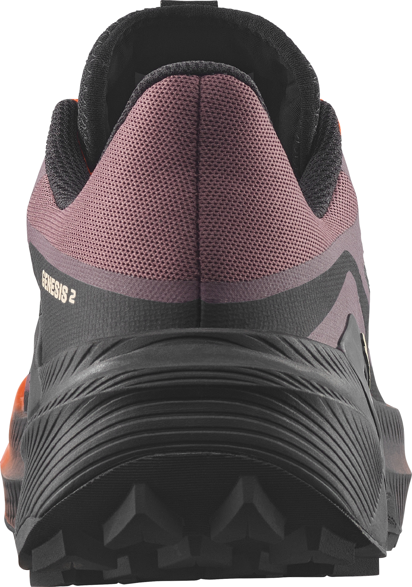SALOMON, W GENESIS 2