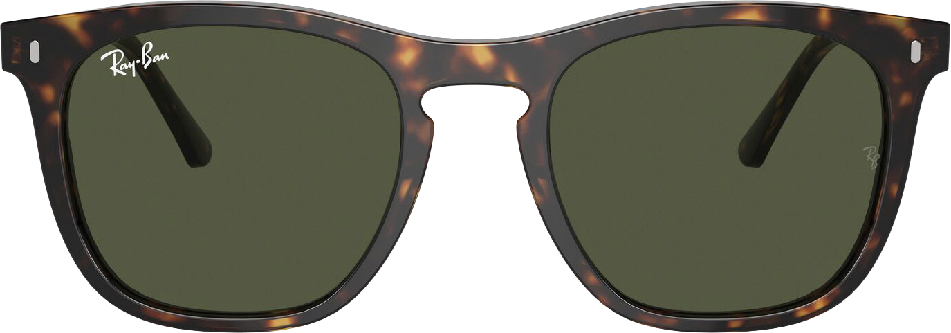 RAY-BAN, RB2210