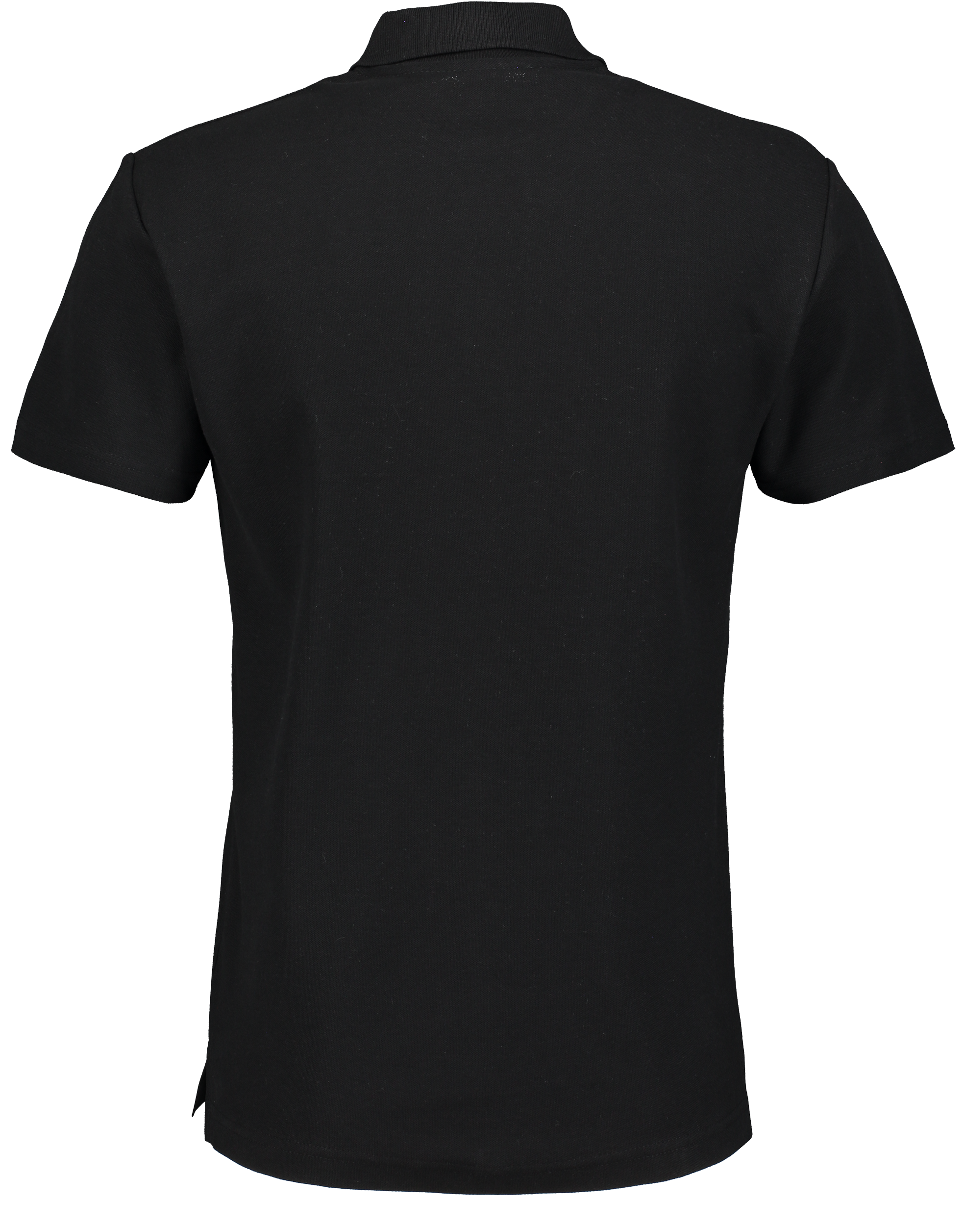 CLIQUE, Basic Polo Jr