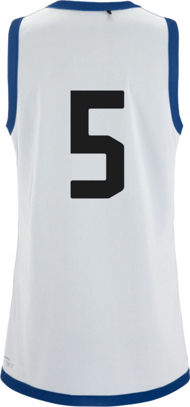 
CRAFT, 
BASKET 2.0 REVERSIBLE SINGLET W, 
Detail 1
