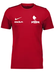 299007110101 NIKE Park VII SS Jsy 299007110101 NIKE Park VII SS Jsy Standard Small1x1