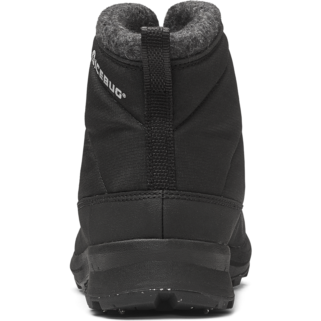 ICEBUG, W Sala W Bugrip