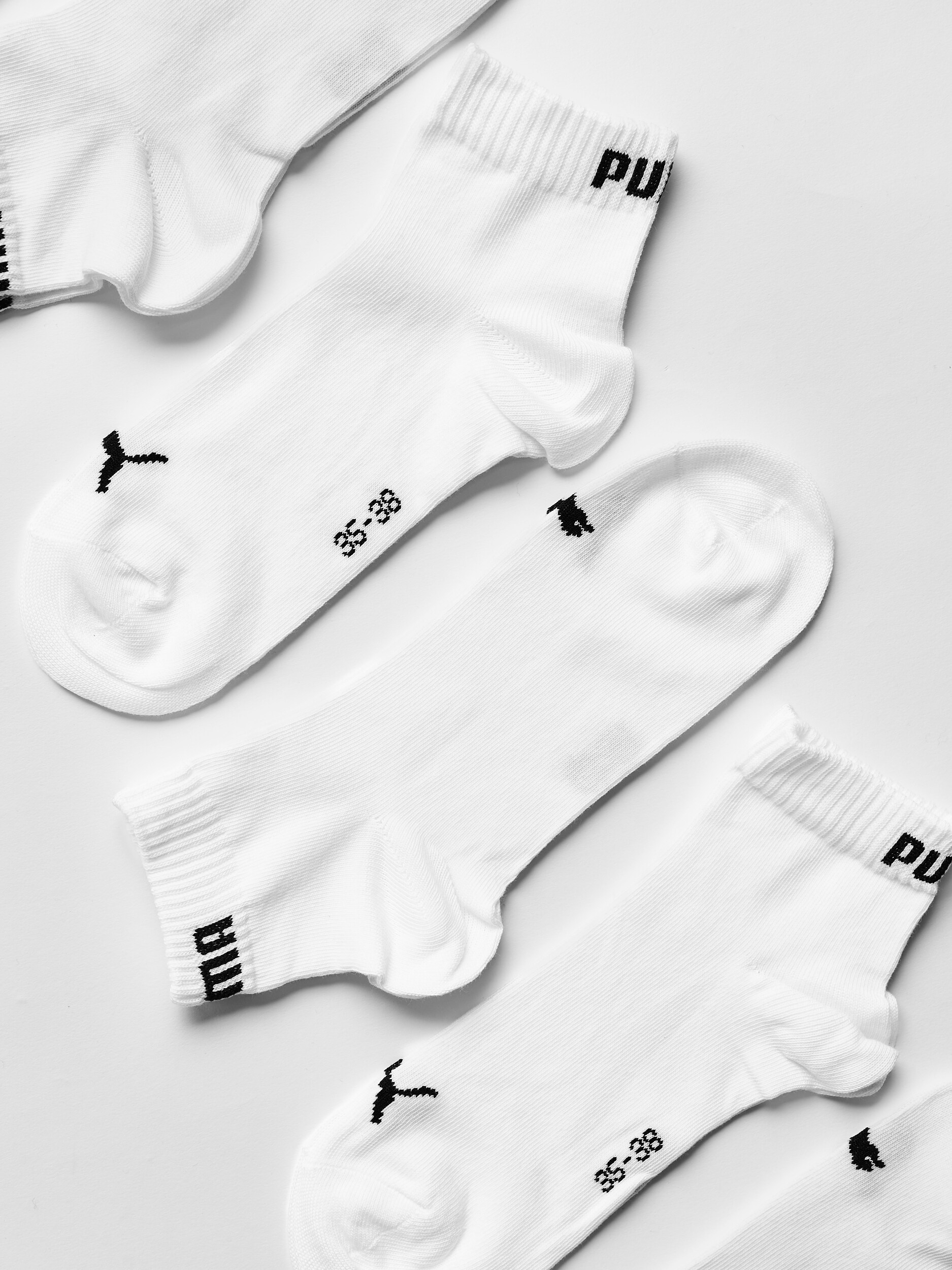 PUMA, U QUARTER PROMO 6P