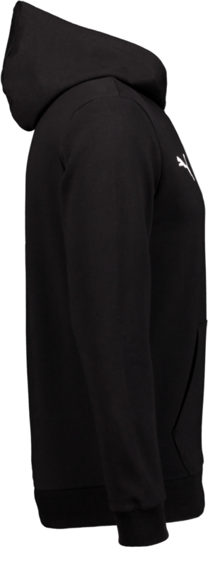 PUMA, T Goal Casual Hood Jr