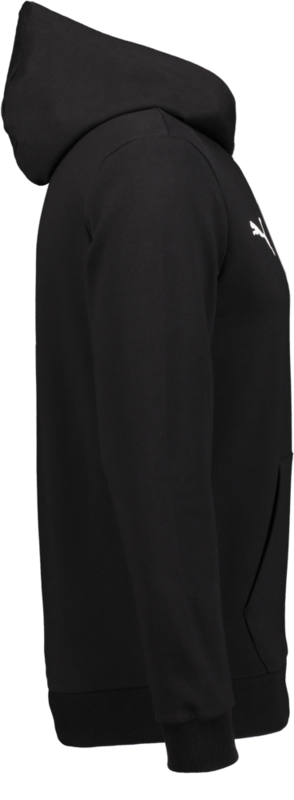 PUMA, T Goal Casual Hood Jr