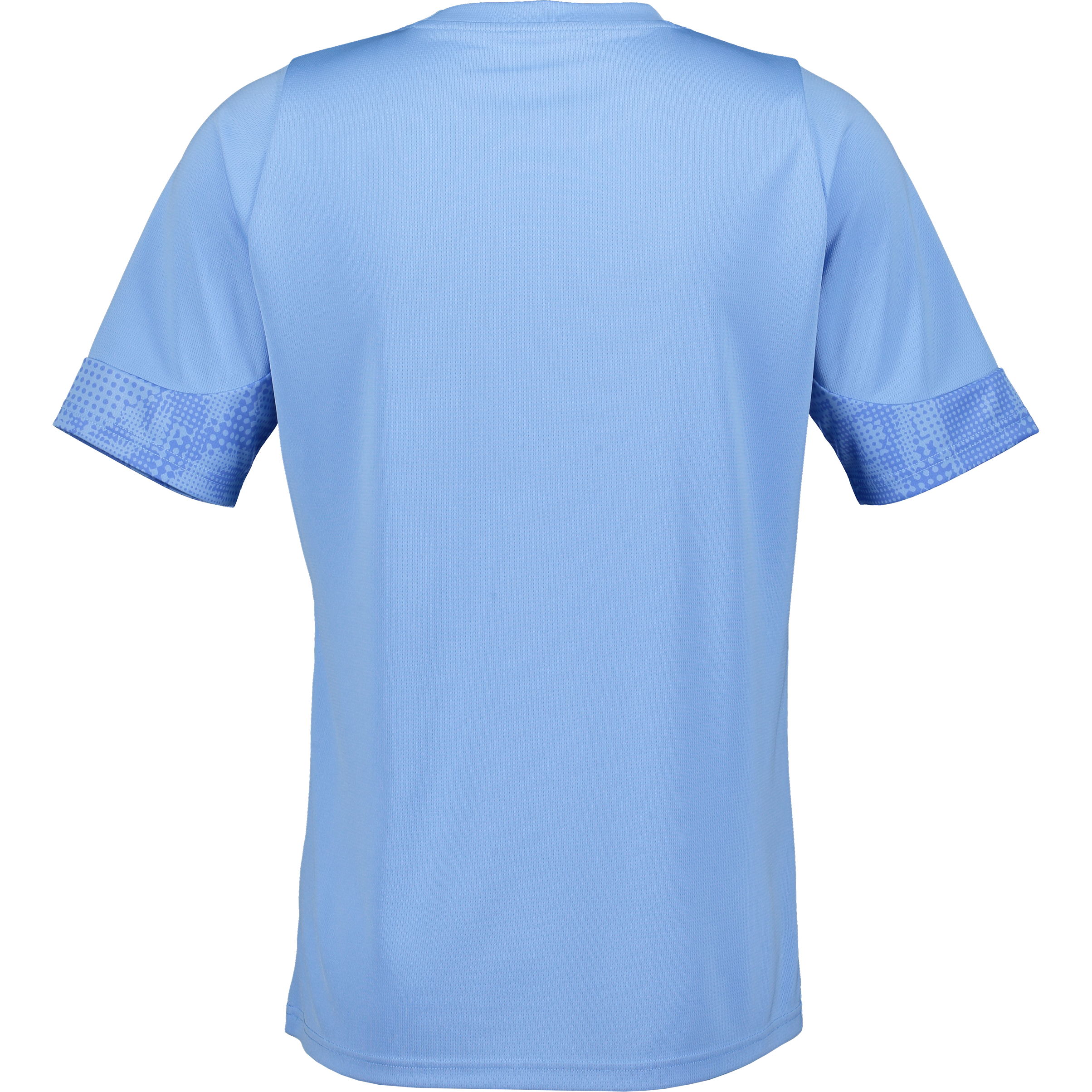 PUMA, Teamcup Training Jersey