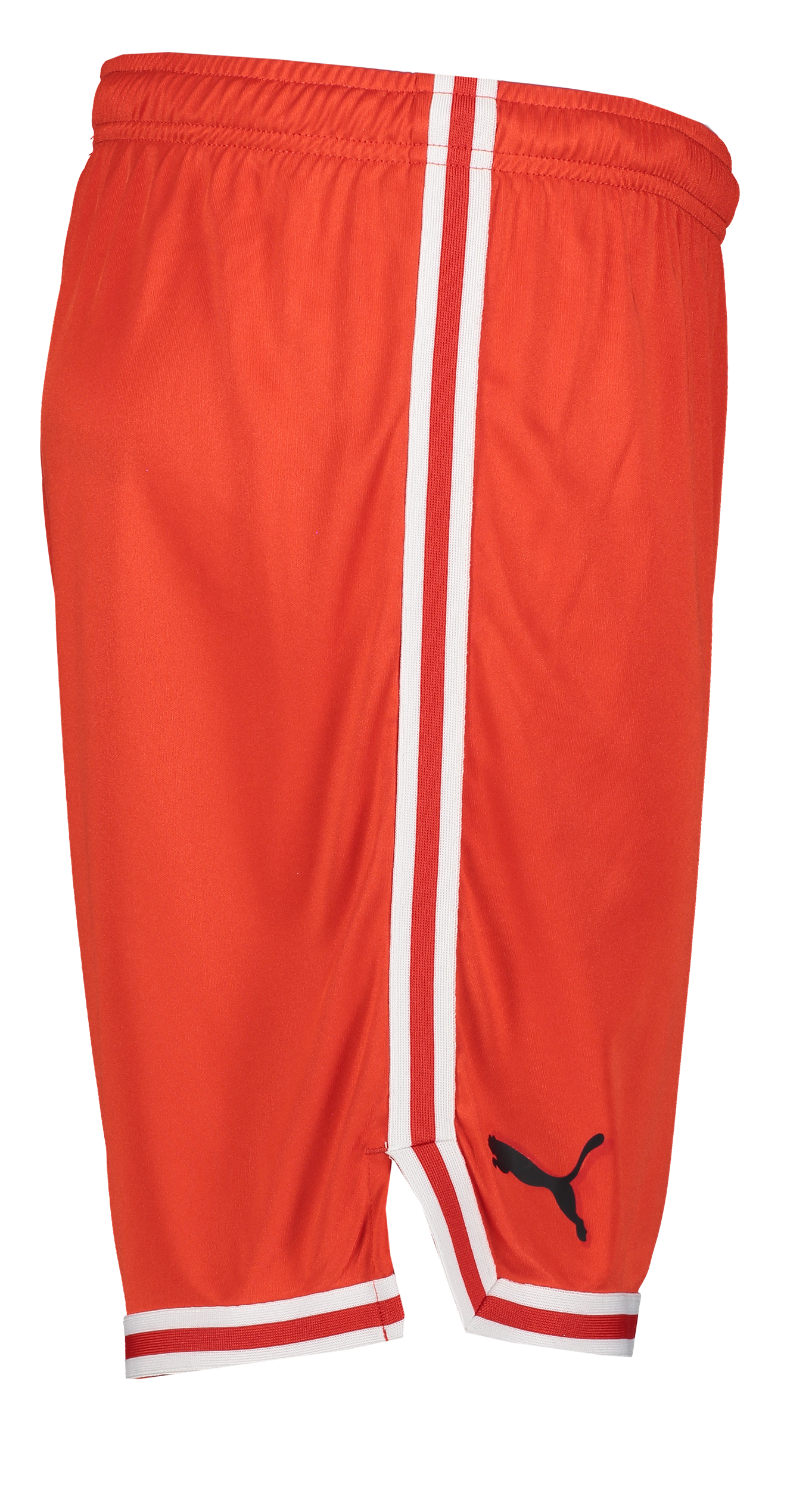 PUMA, Hoops Team Game Short