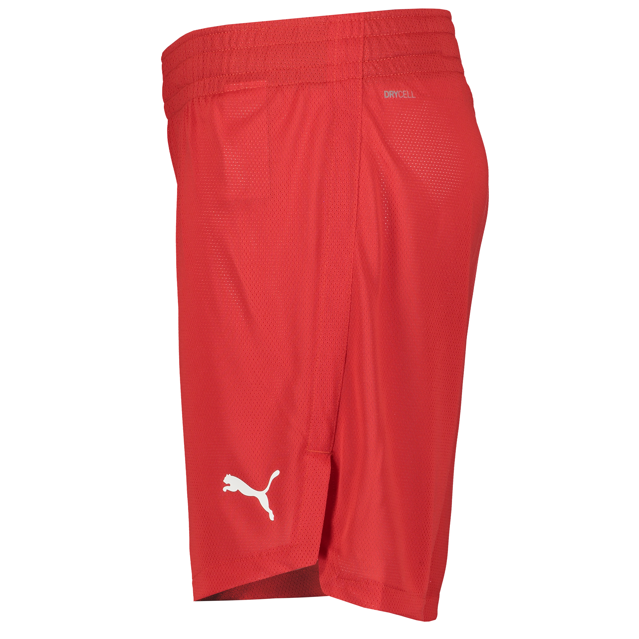 PUMA, TEAMJAWS PRACTICE SHORTS JR