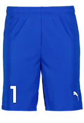 391942102101 PUMA T Goal Shorts 391942102101 PUMA T Goal Shorts Standard Small1x1