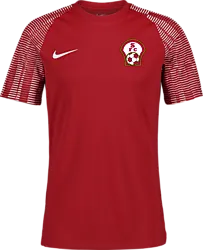 366332108101 NIKE Academy Ss Jsy 366332108101 NIKE Academy Ss Jsy Standard Small1x1