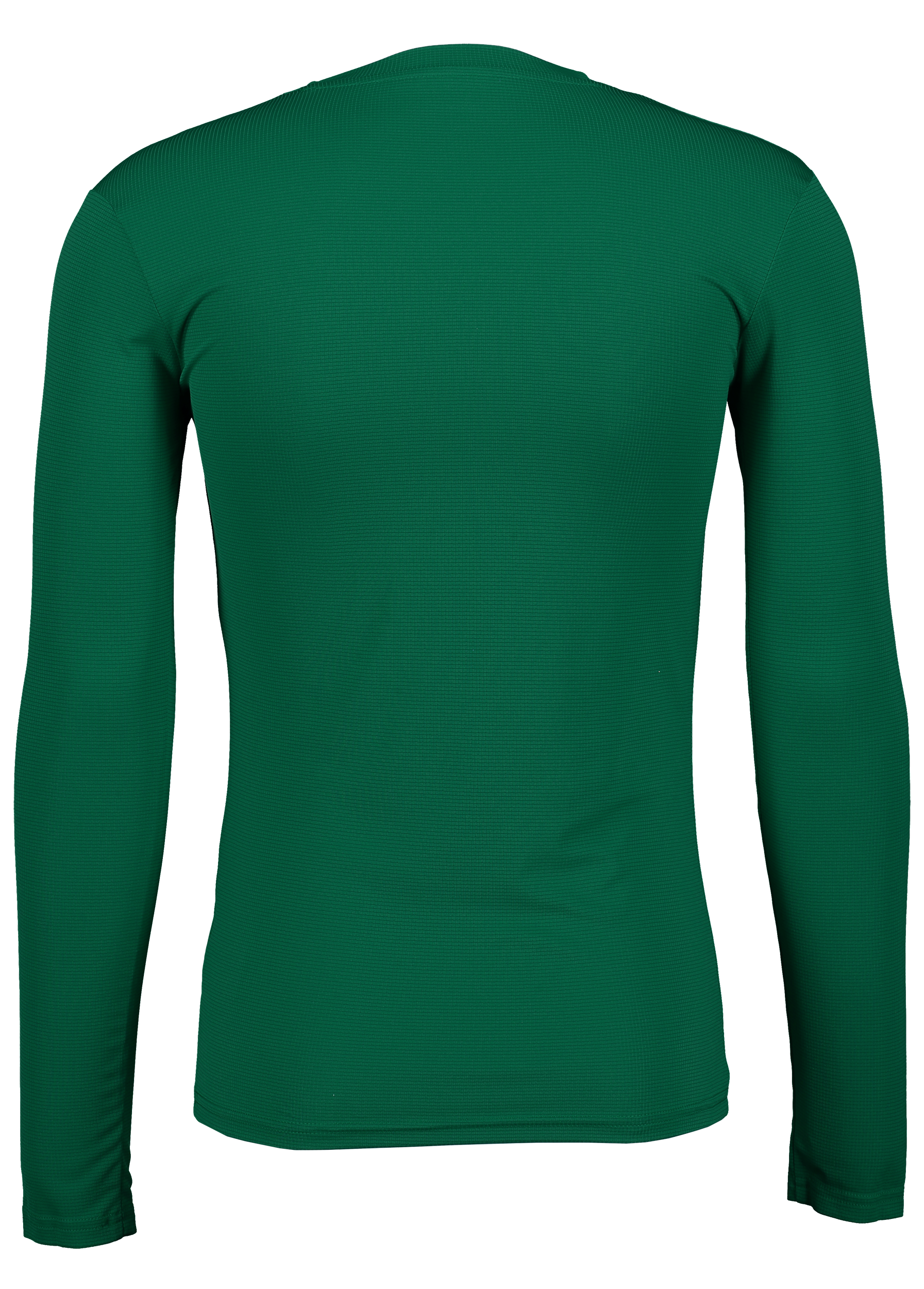 PUMA, T Goal Bl Ls Jsy Jr