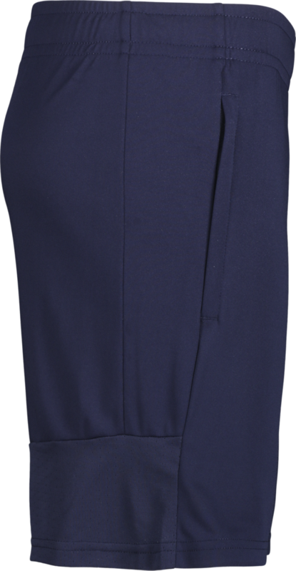 PUMA, TEAMLIGA TRAINING SHORTS