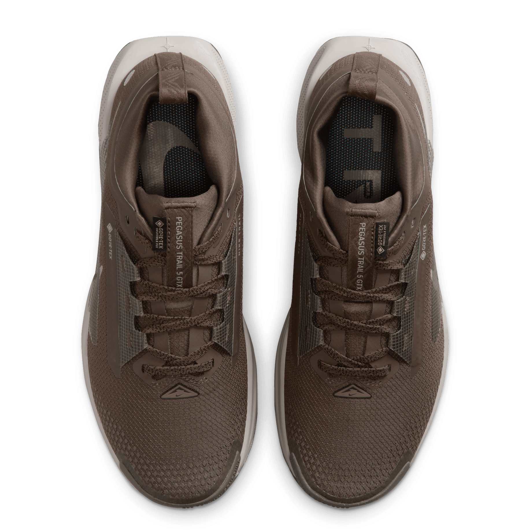 NIKE, W Pegasus Trail 5 Gore-Tex