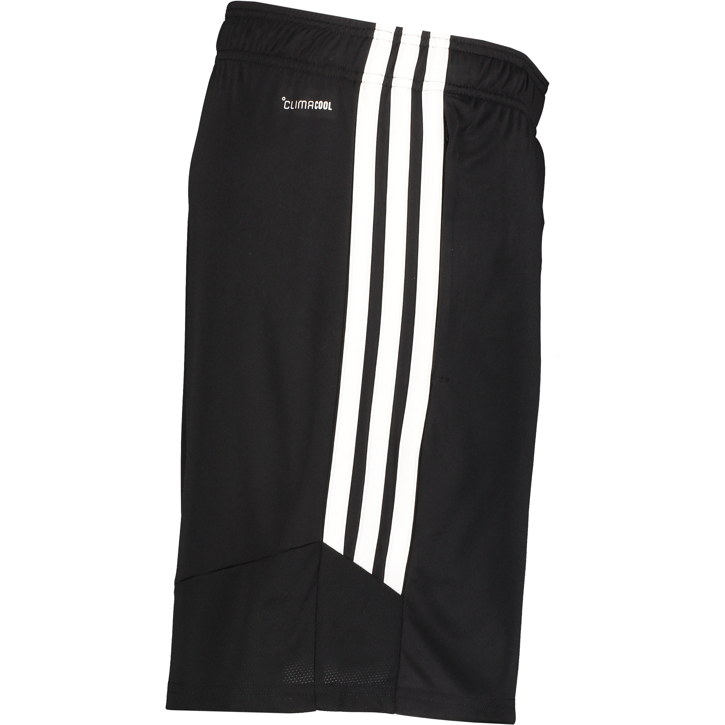 ADIDAS, TIRO26 L TR SHO