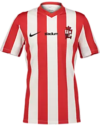 400665106101 NIKE Stripe Dvsn Jsy 400665106101 NIKE Stripe Dvsn Jsy Standard Small1x1