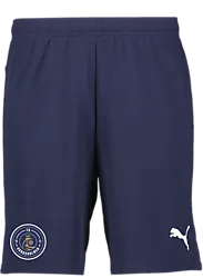 392286106101 PUMA T Goal Shorts Jr 392286106101 PUMA T Goal Shorts Jr Standard Small1x1