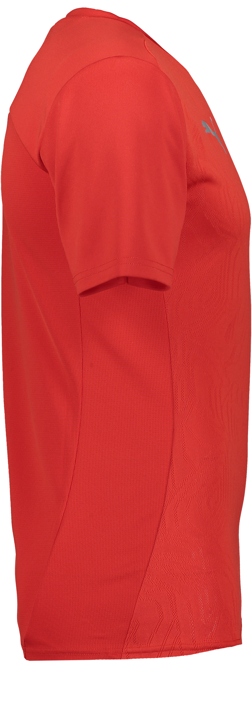 PUMA, T Final Trg Jsy