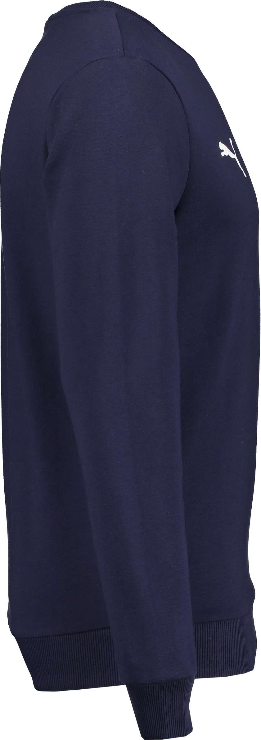 PUMA, T GOAL CAS CREW SWEAT JR