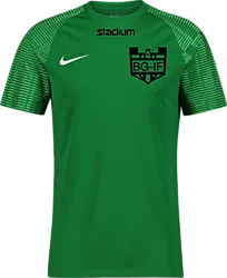 366334105101 NIKE Academy Ss Jsy Jr 366334105101 NIKE Academy Ss Jsy Jr Standard Small1x1
