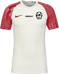 366332102101 NIKE Academy Ss Jsy 366332102101 NIKE Academy Ss Jsy Standard Small1x1