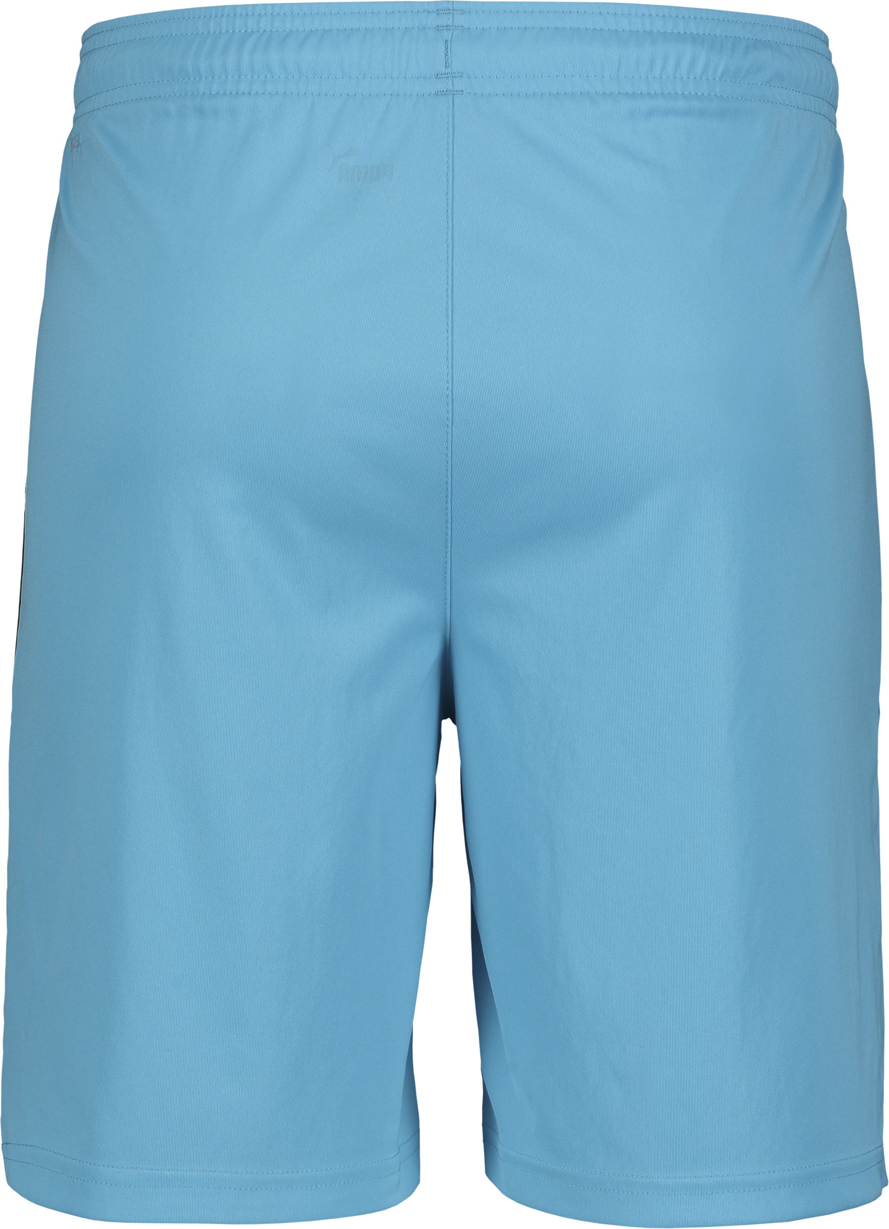 PUMA, T Liga Shorts Jr