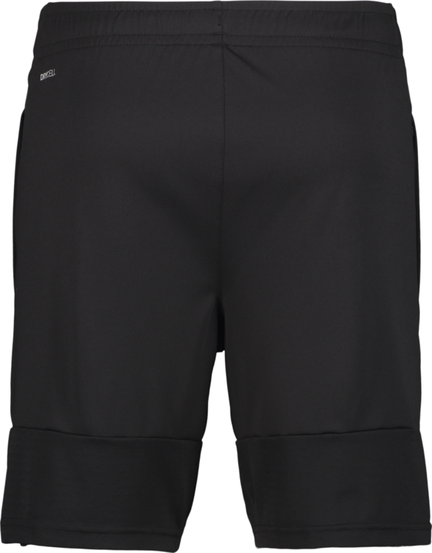PUMA, TEAMLIGA TRAINING SHORTS