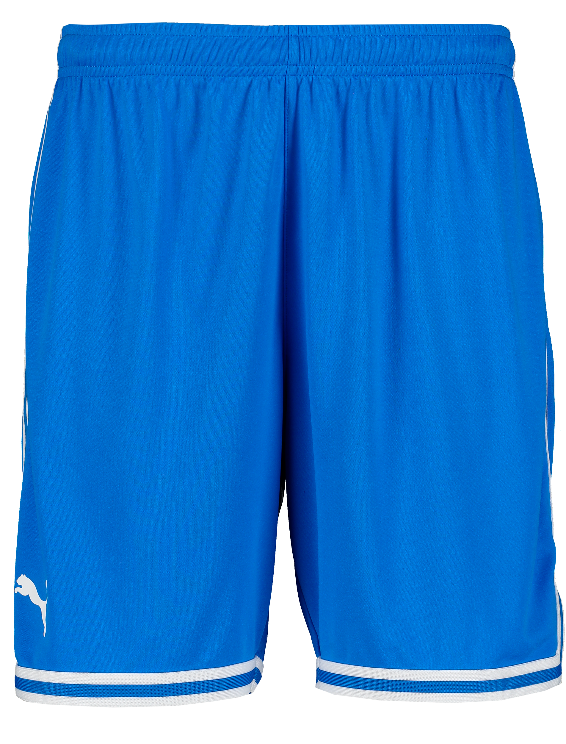 
PUMA, 
Hoops Team Game Short, 
Detail 1
