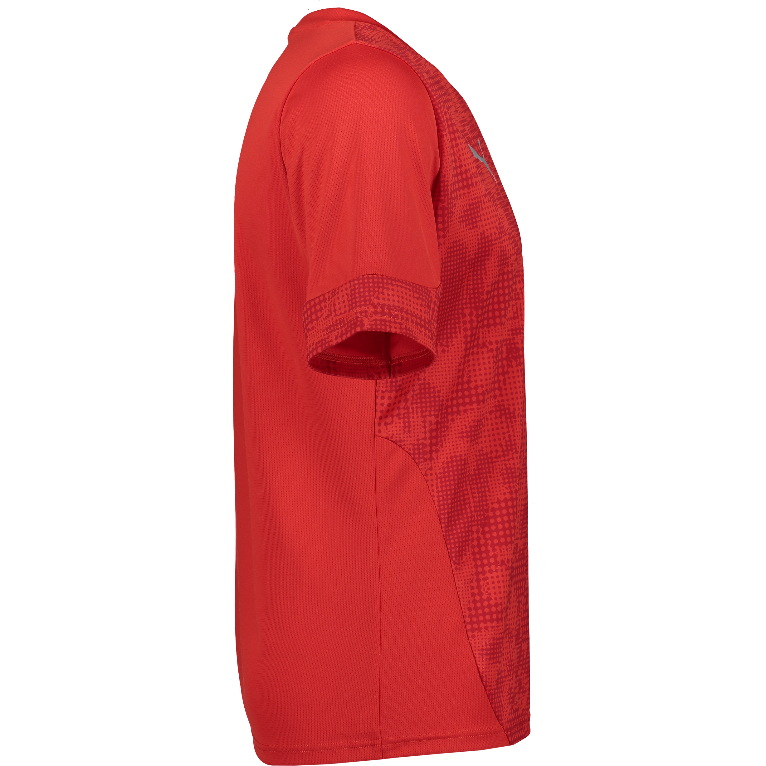 PUMA, Teamcup Training Jersey