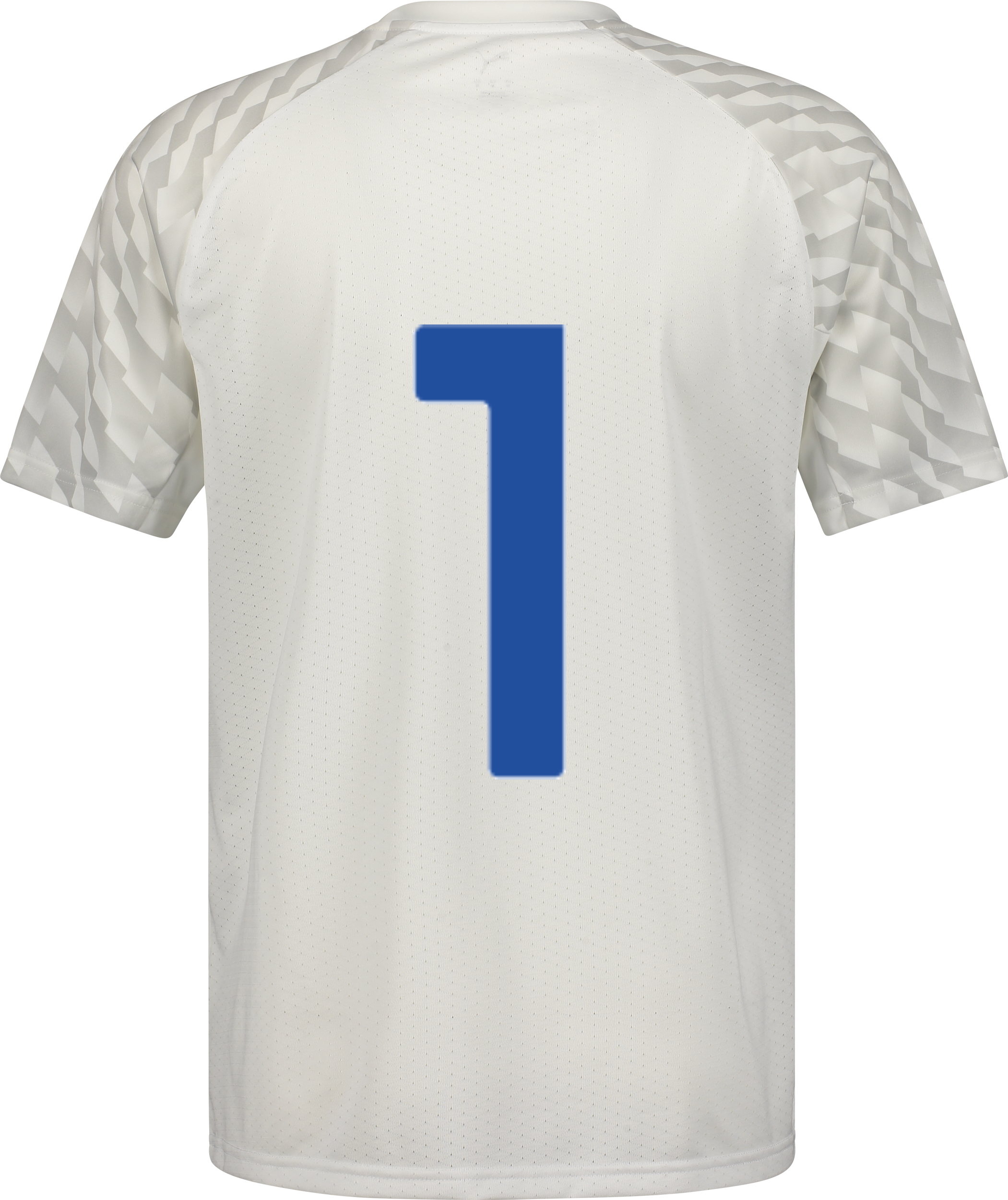 PUMA, TEAMLIGA26 JERSEY JR