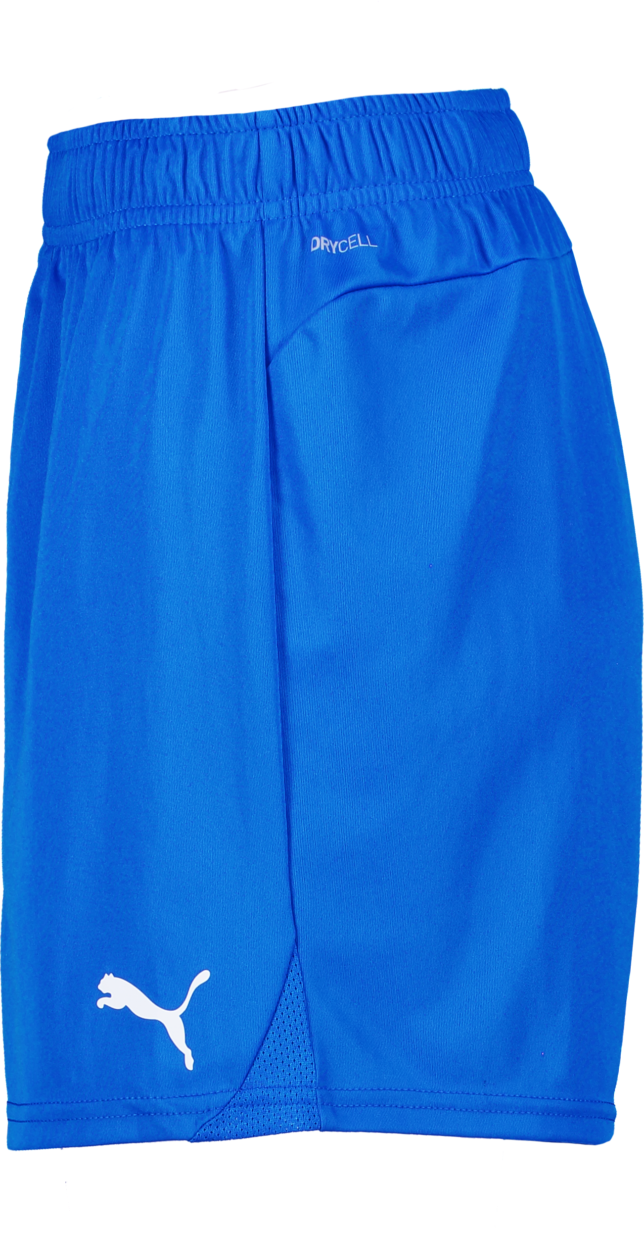 PUMA, T Goal Shorts Wmns