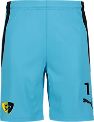 361522106101 PUMA T Liga Shorts 361522106101 PUMA T Liga Shorts Standard Small1x1