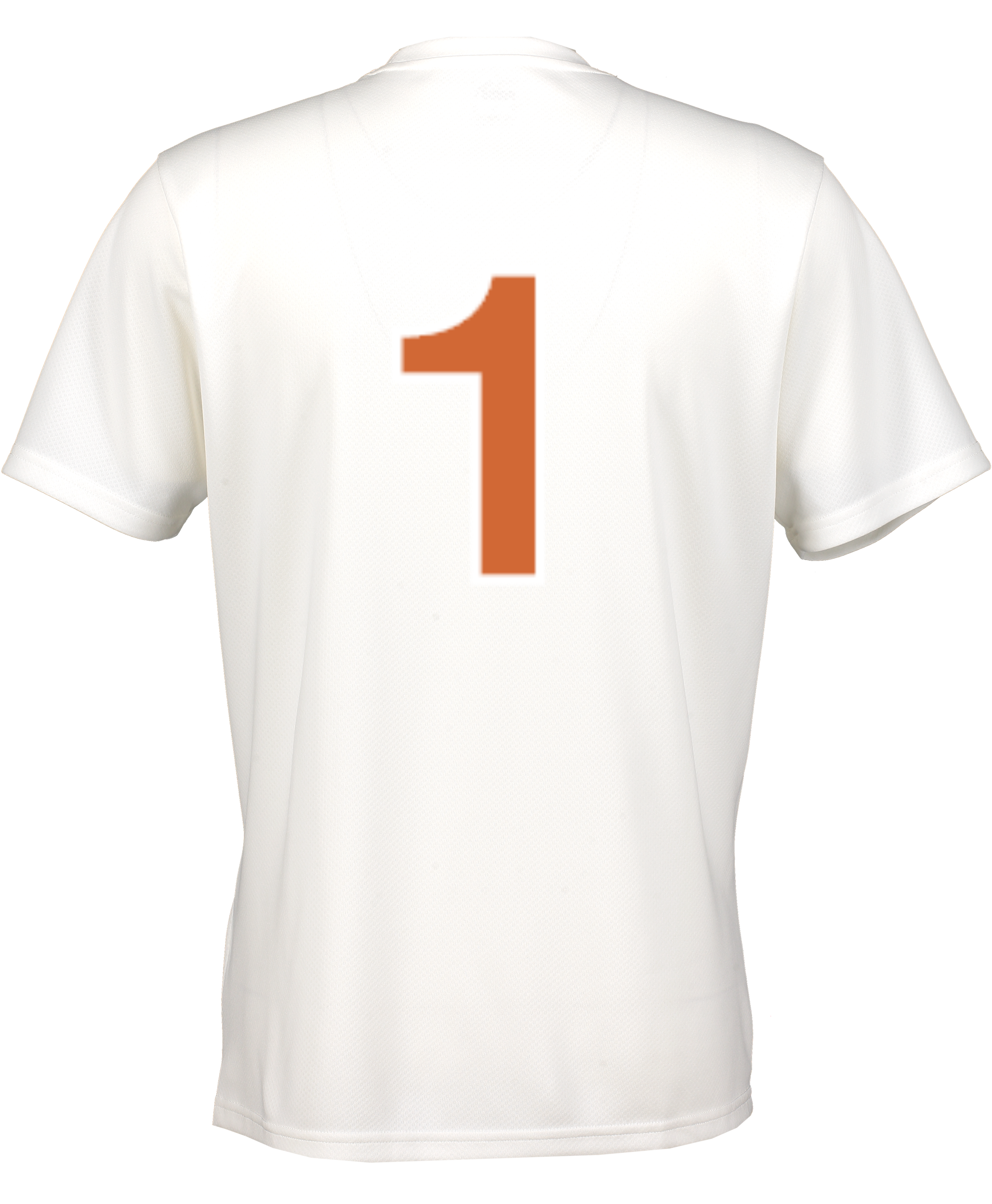PUMA, T Goal Trg Jsy