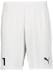 392286104101 PUMA T Goal Shorts Jr 392286104101 PUMA T Goal Shorts Jr Standard Small1x1