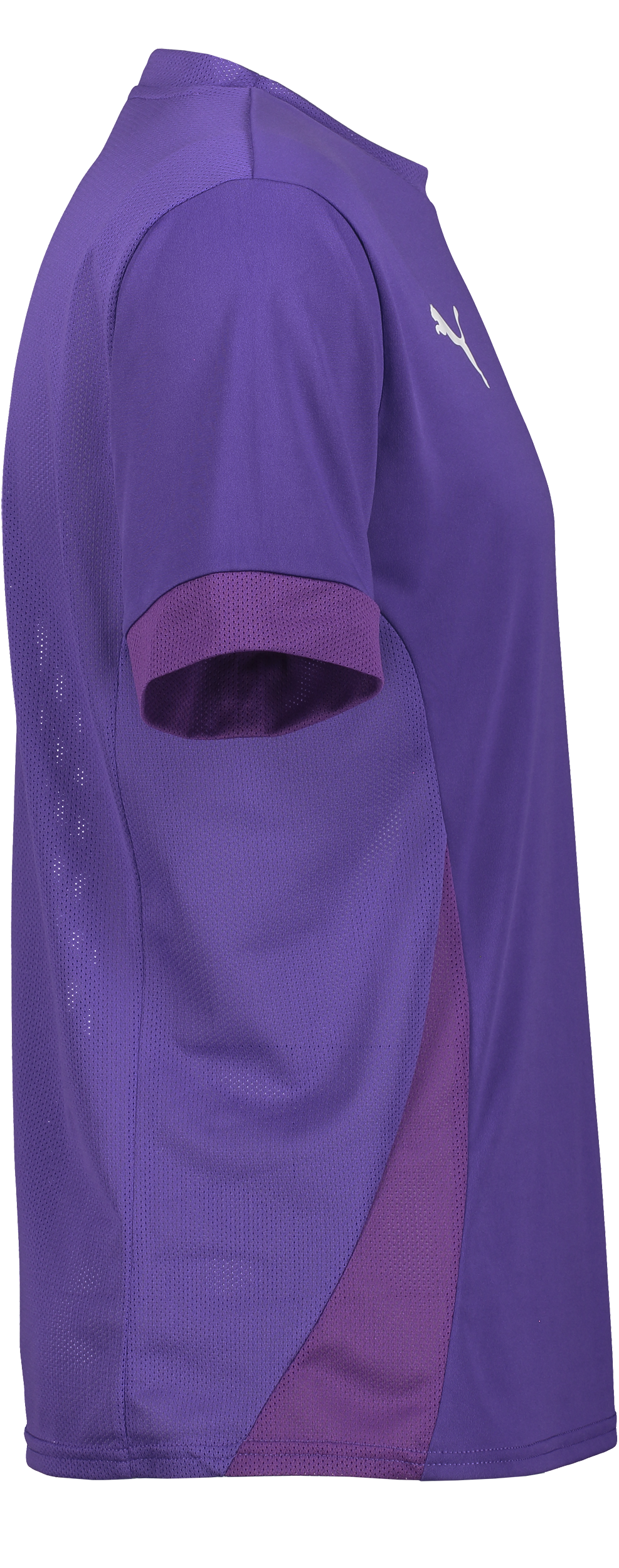 PUMA, T Goal Matchday Jsy Jr