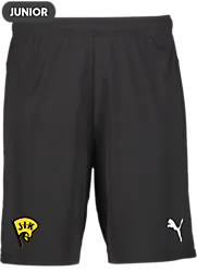 392286103101 PUMA T Goal Shorts Jr 392286103101 PUMA T Goal Shorts Jr Standard Small1x1