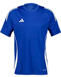 Tiro24 Jsy Jr - Royal/White Standard Small1x1