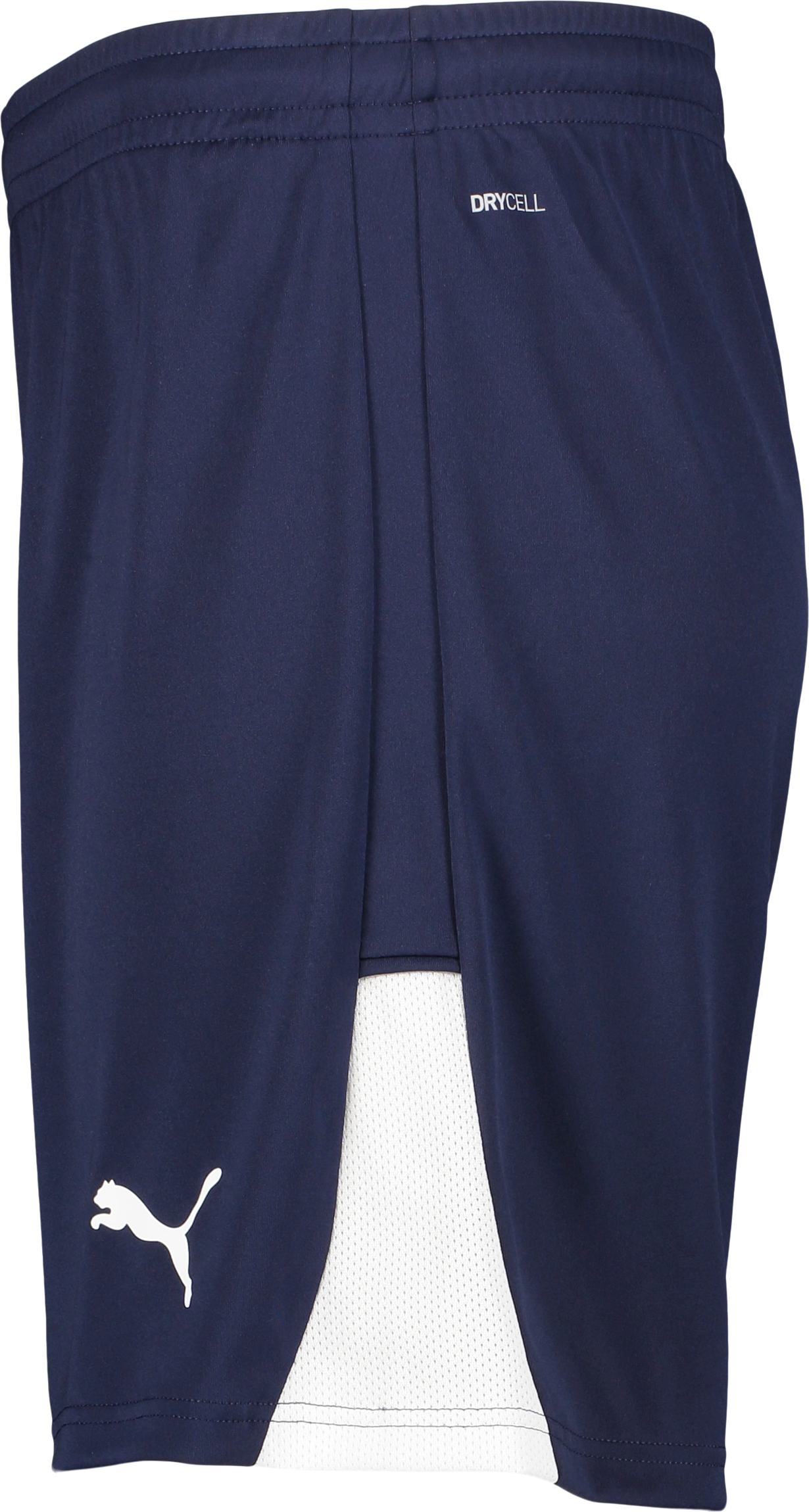 PUMA, TEAMLIGA26 SHORTS