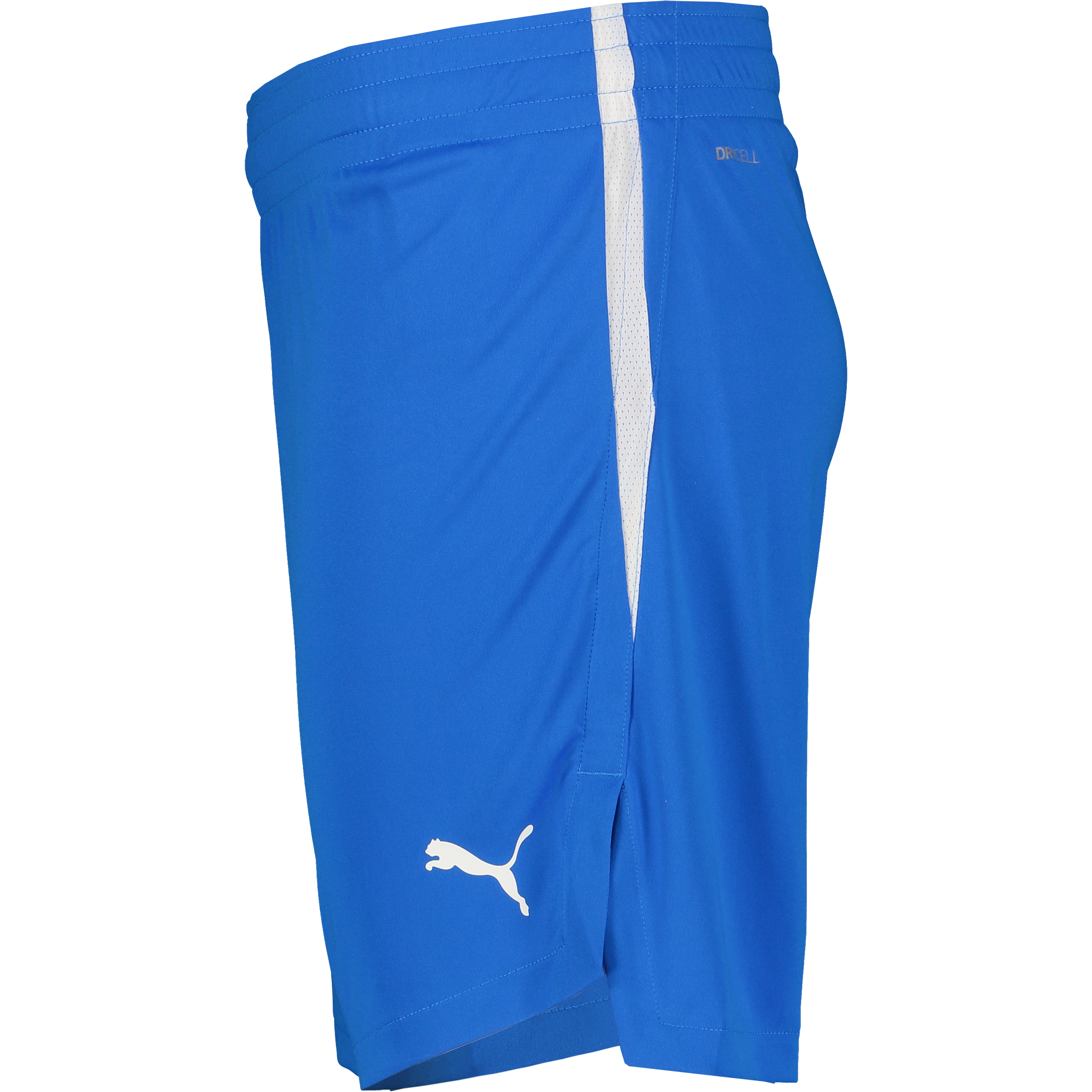 PUMA, TEAMJAWS STARTER SHORTS JR