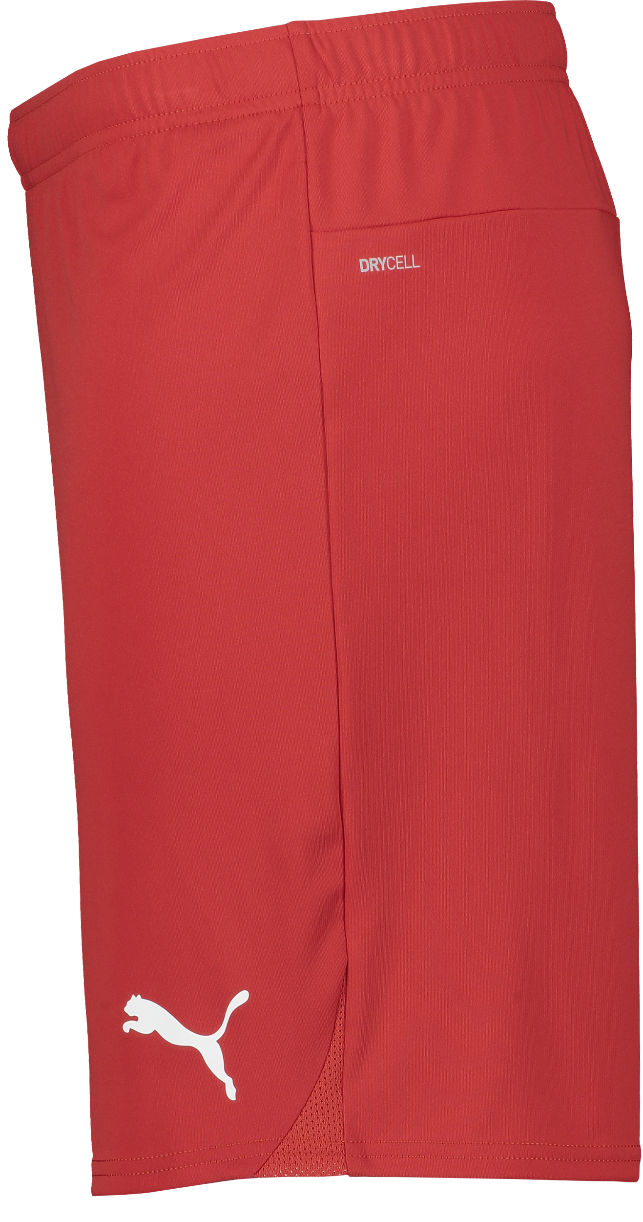 PUMA, T Goal Shorts