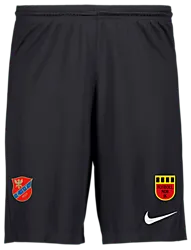 298936101101 NIKE Park III Short 298936101101 NIKE Park III Short Standard Small1x1