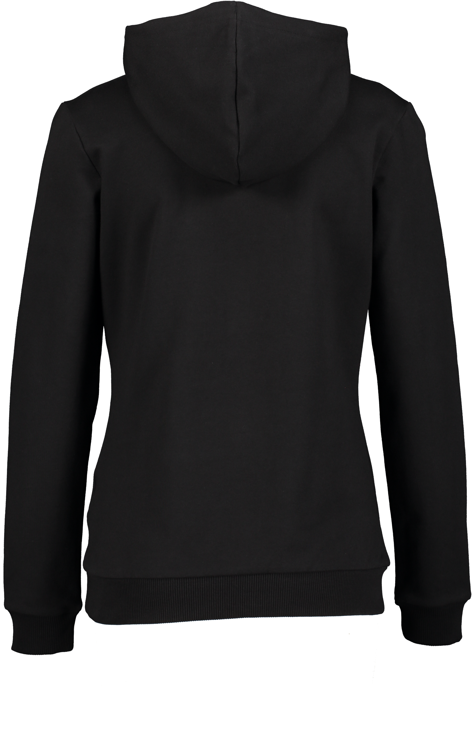 PUMA, T Goal Casual Hood W