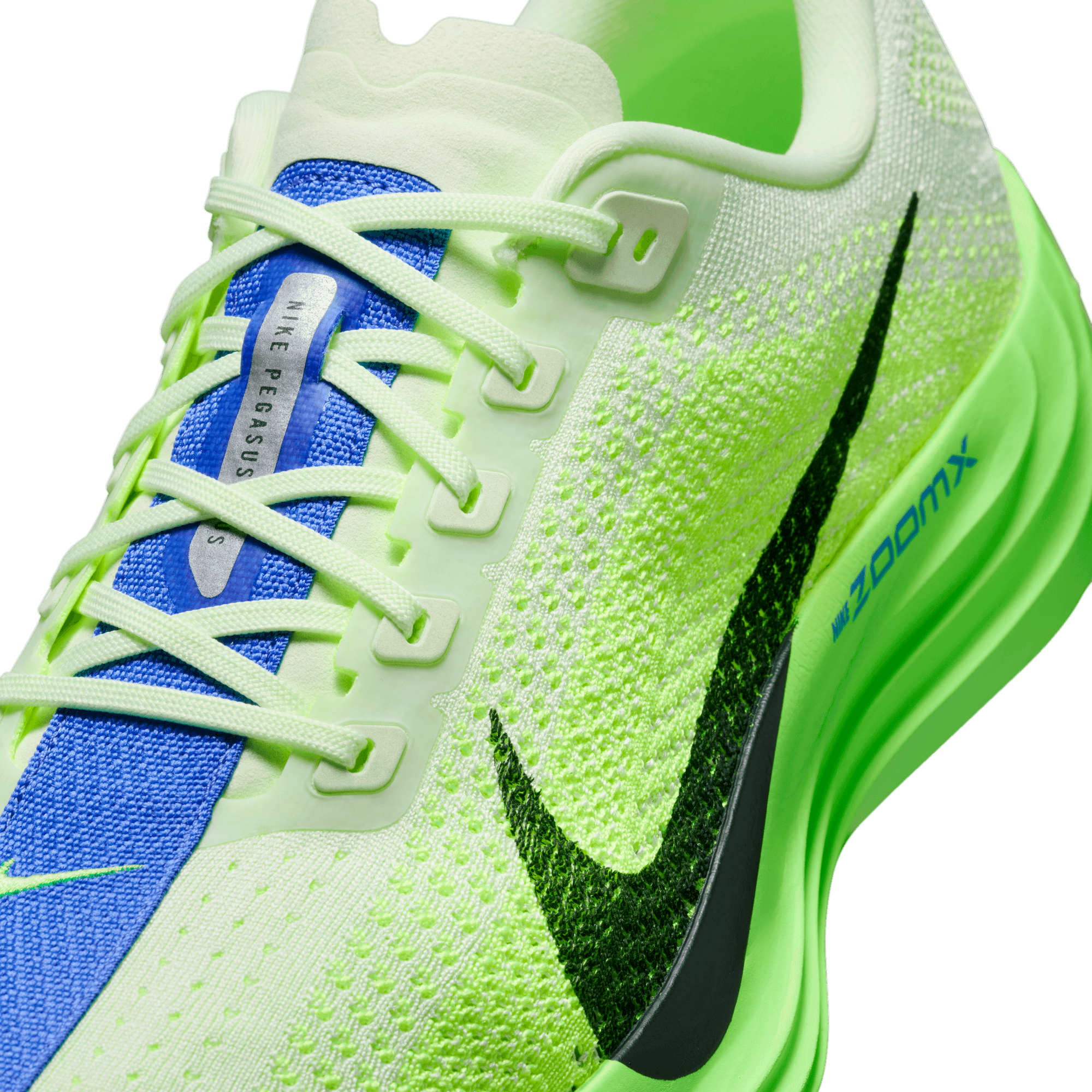 NIKE, M Pegasus Plus