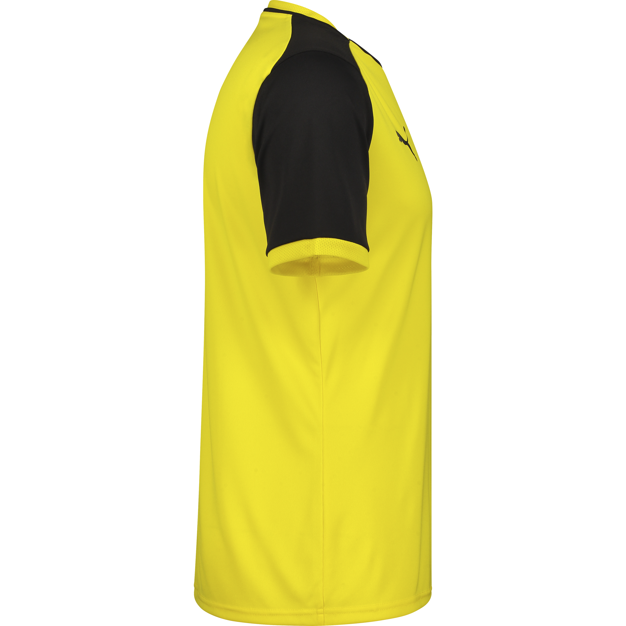 PUMA, TEAMLIGA26 MATCHDAY JERSEY