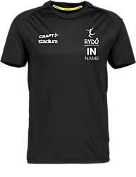 321481107101 CRAFT Evolve Tee 321481107101 CRAFT Evolve Tee Standard Small1x1