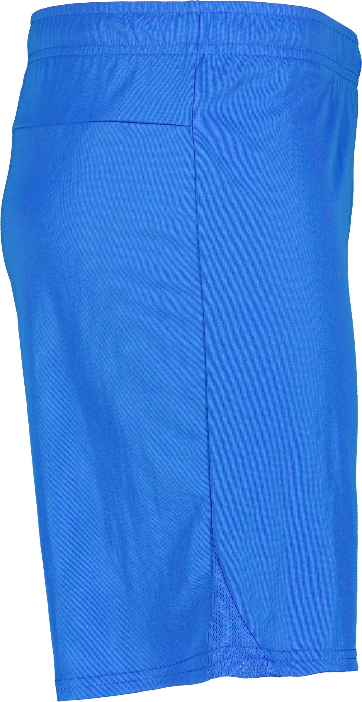 PUMA, T Goal Shorts